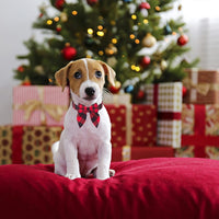 ADOGGYGO Adjustable Cotton Dog Bowtie Collar