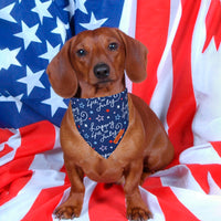 ADOGGYGO Halloween Dog Bandana