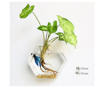 Fashion Wall Hanging Glass Flower Vase