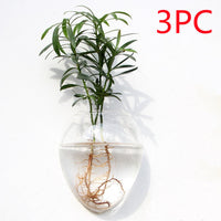Fashion Wall Hanging Glass Flower Vase