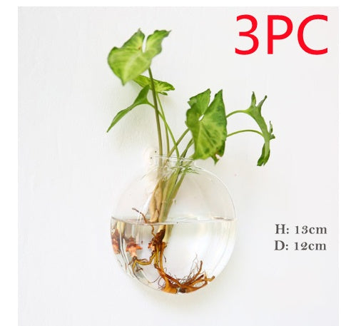 Fashion Wall Hanging Glass Flower Vase