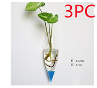 Fashion Wall Hanging Glass Flower Vase
