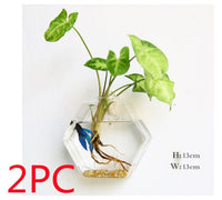 Fashion Wall Hanging Glass Flower Vase