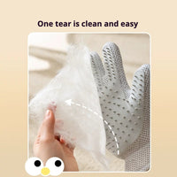Pet Grooming Glove & Brush Set