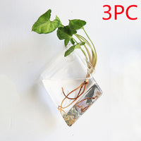Fashion Wall Hanging Glass Flower Vase